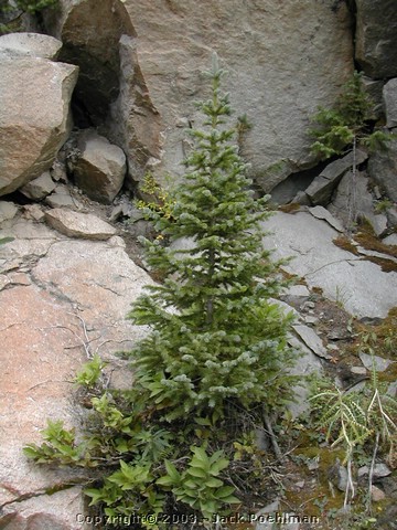 DSCN2381.JPG