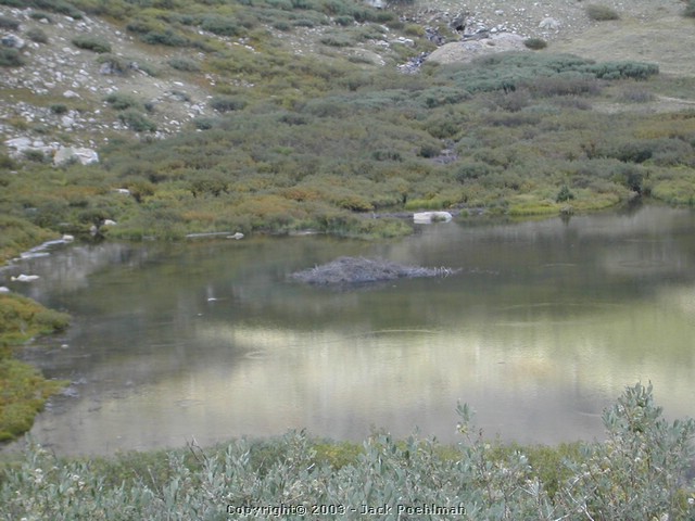DSCN2417.JPG