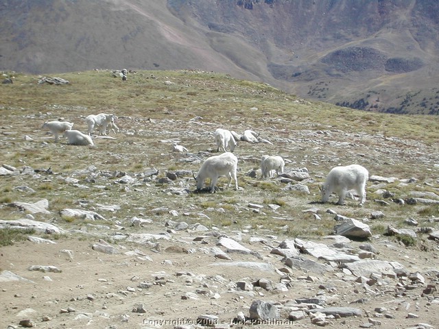 DSCN2455.JPG