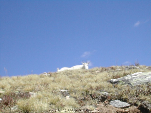 DSCN2468.JPG