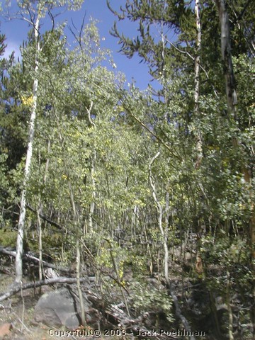 DSCN2502.JPG