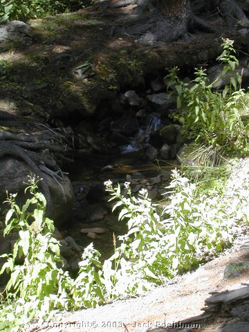DSCN2507.JPG