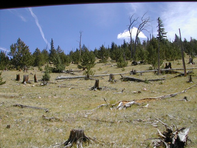 DSCN2511.JPG