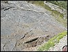 DSCN2250.JPG