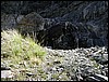 DSCN2251.JPG
