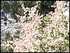 DSCN2258.JPG