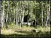 DSCN2262.JPG