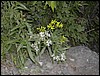 DSCN2280.JPG