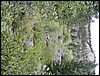DSCN2288.JPG