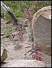 DSCN2354.JPG