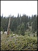 DSCN2377.JPG