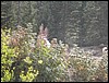 DSCN2380.JPG