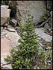 DSCN2381.JPG
