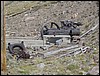 DSCN2411.JPG