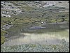 DSCN2417.JPG