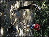 DSCN2437.JPG
