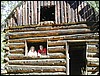 DSCN2439.JPG