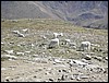 DSCN2455.JPG