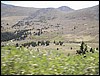 DSCN2482.JPG