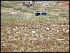 DSCN2483.JPG