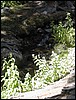 DSCN2507.JPG