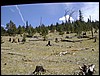 DSCN2511.JPG