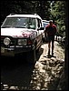 DSCN2515.JPG