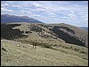 DSCN2519.JPG