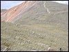 DSCN2520.JPG