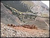 DSCN2560.JPG