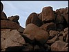 DSCN2584.JPG