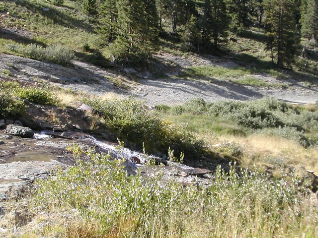 DSCN1545.JPG