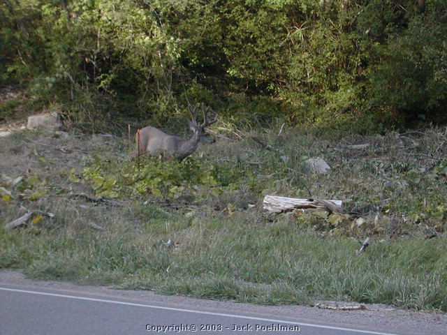 DSCN1566.JPG