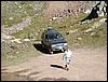 DSCN1313.JPG