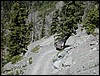 DSCN1448.JPG