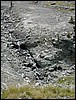 DSCN1480.JPG