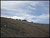 DSCN1532.JPG