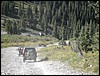 DSCN1544.JPG