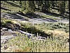 DSCN1545.JPG