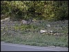 DSCN1566.JPG