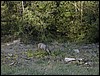 DSCN1567.JPG