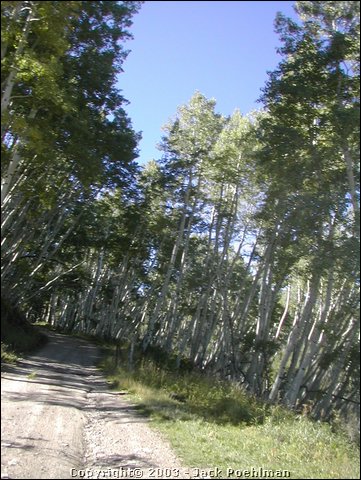 DSCN3053.JPG