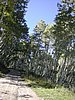 DSCN3053.JPG