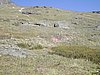 DSCN3084.JPG