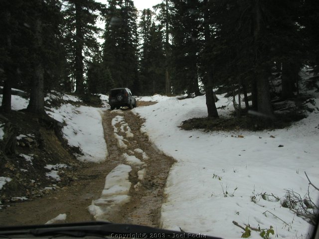 P1010027.JPG