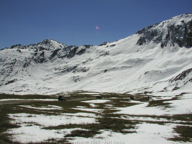 P1010152.JPG