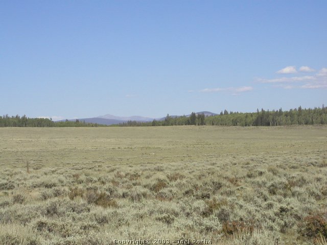 P1010157.JPG