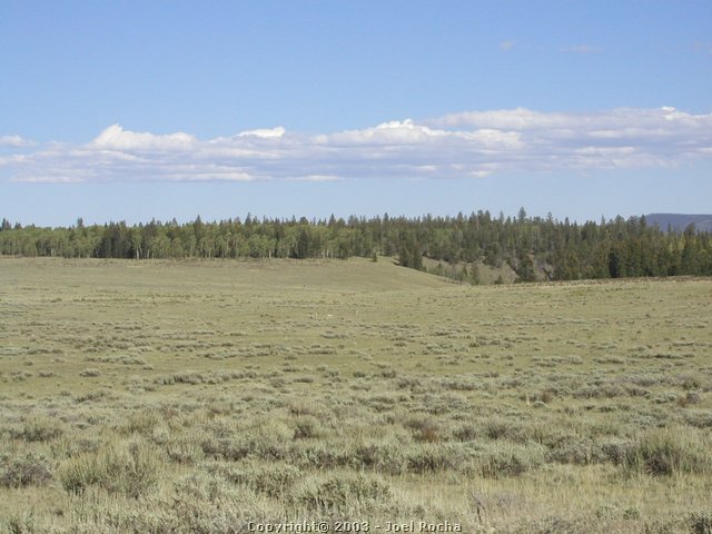 P1010158.JPG