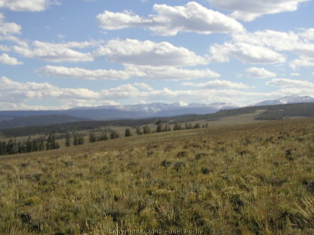P1010163.JPG