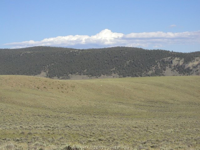 P1010164.JPG